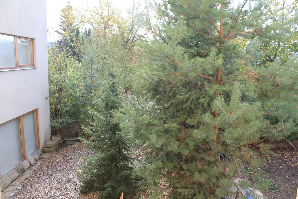 V Dobre Lokalite Apartment *